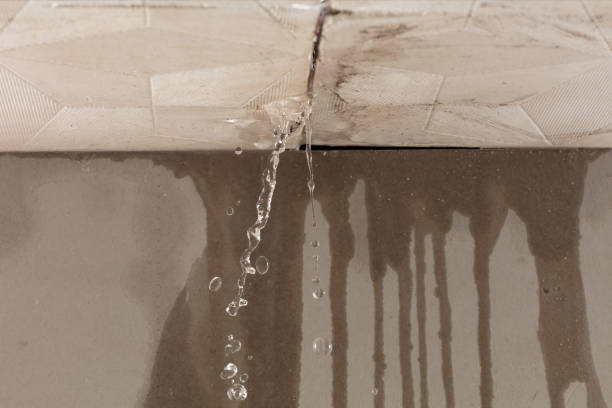 Professional Water Damage Inspection technician working in Buchanan, NY